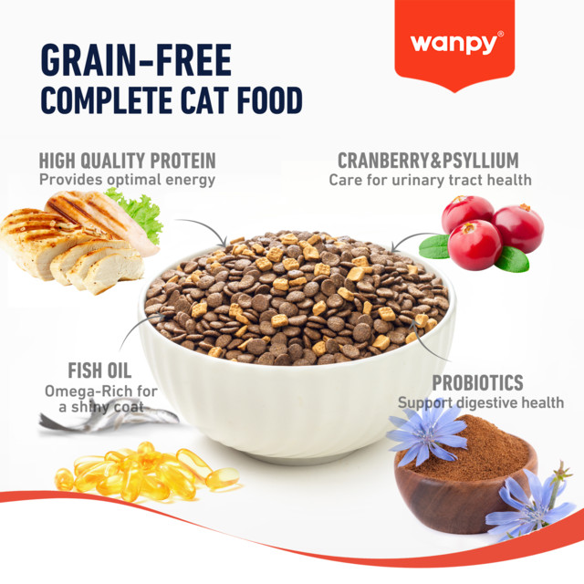 غذای خشک گربه بالغ ونپی / wanpy adult cat
