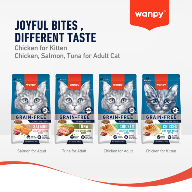 غذای خشک گربه بالغ ونپی / wanpy adult cat