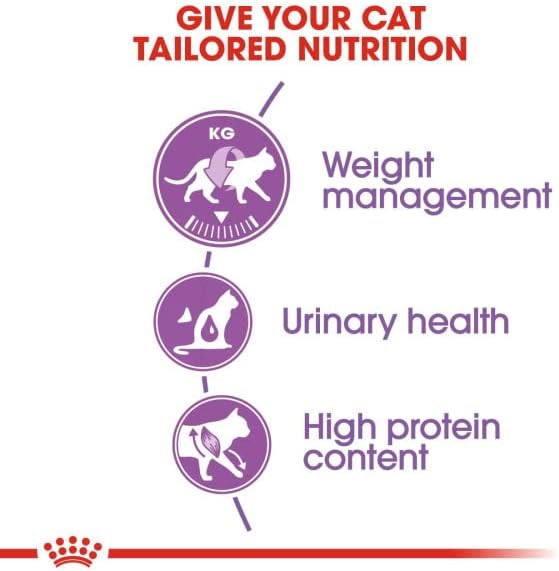 غذای خشک گربه عقیم شده رویال کنین /royal canin regular sterilised cat