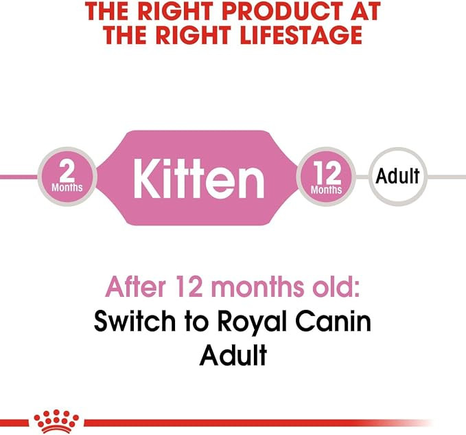 غذای خشک گربه کیتن رویال کنین / Royal canin kitten